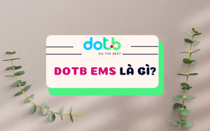 DOTB EMS là gì?